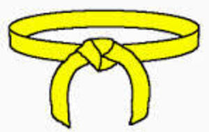 Taïkyoku : Shodan - Nidan - Sandan