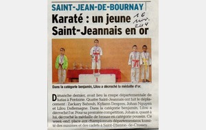 Coupe Départementale Kata   Benjamin &amp; Poussin 