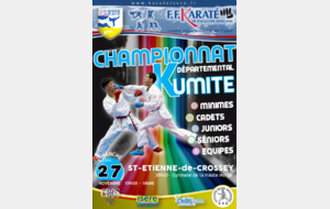 CHAMPIONNAT et COUPE COMBAT  2016-2017 