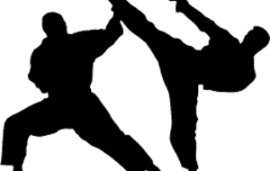 Démonstration de fin d'année