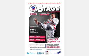 STAGE DE FORMATION AUX EXAMENS DE GRADE