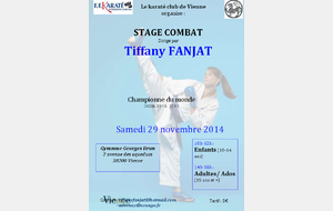 547305146aa69_stagevienne.PNG