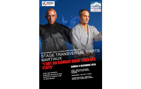 STAGE  KARATE &amp; KUNG-FU 