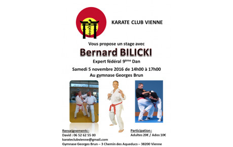 STAGE Bernard BILICKI a VIENNE