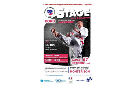 STAGE DE FORMATION AUX EXAMENS DE GRADE